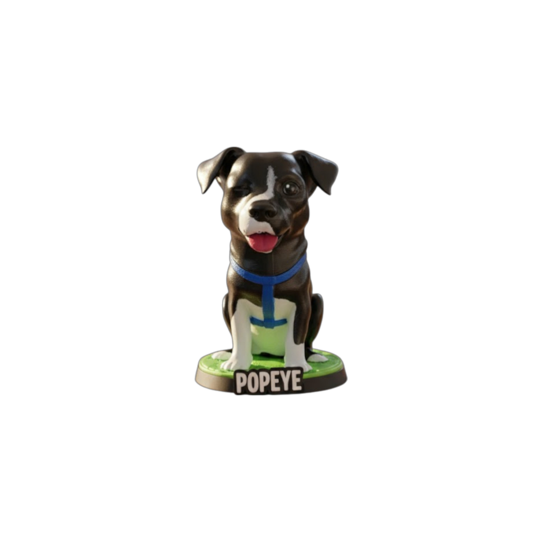 Figura de tu mascota