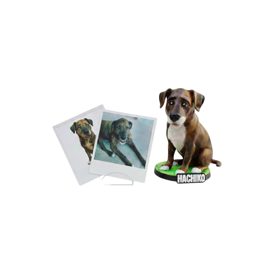 Figura de tu mascota