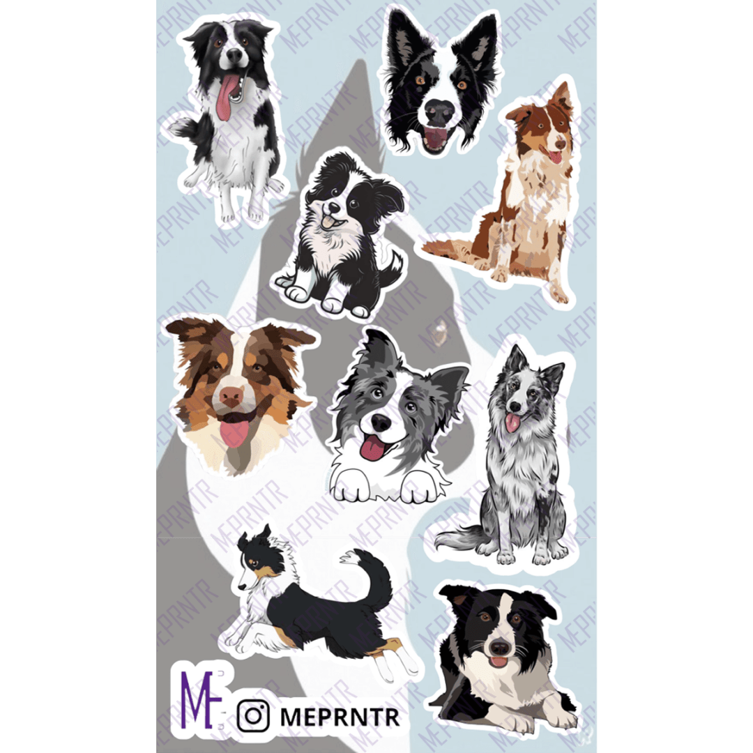 Plancha de Border collie