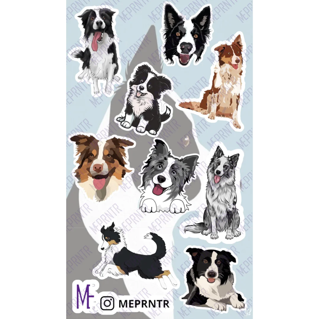 Plancha de Border collie
